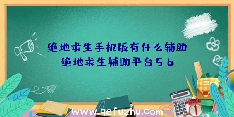 「绝地求生手机版有什么辅助」|绝地求生辅助平台56